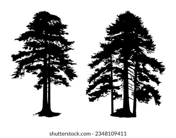 Redwood Tree Silhouette Set Collection