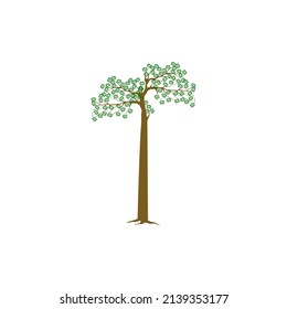 Redwood Tree Vector Illustration, The Tallest Tree In The World. Sequoiadendron Giganteum Plant Logo.