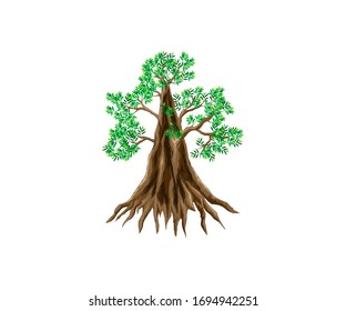 Redwood Tree Vector Isolated On White