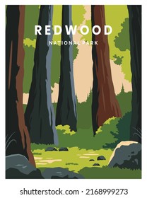 Redwoods National park in California poster illustration design. World's tallest trees.