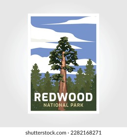 Redwoods National park in California poster illustration design.