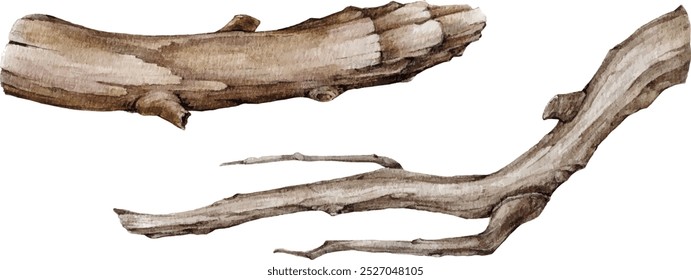 ree dry branch hand drawn watercolor illustration. Botanical tree stick element. Dry stick natural decoration. Big tree beautiful curved branch element isolated on white background. 