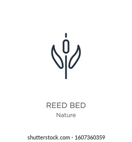 Reed bed icon. Thin linear reed bed outline icon isolated on white background from nature collection. Line vector sign, symbol for web and mobile