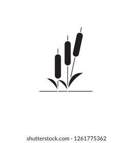 Reed black vector concept icon. Reed flat illustration, sign