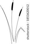 reed black and white isolated on white background. vector icon for web and app