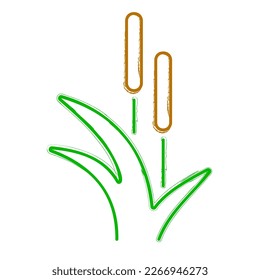 reed brush on white background, vector illustration.