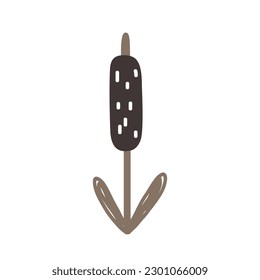 Reed, Cattail, Cane Doodle hand drawn Icon in Scandinavian Style. Vector Isolated illustration