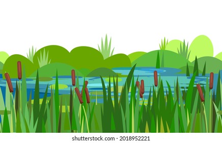 Reed and cattail thickets. Swampy wild landscape with water. Horizontally seamless composition. Grass and bushes. Overgrown bank of a pond or river. Isolated illustration vector