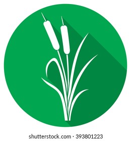 Reed Flat Icon (bulrush)