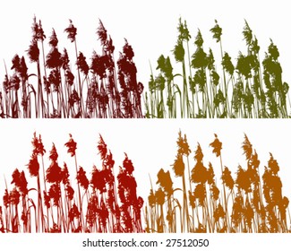 Reed in four colors