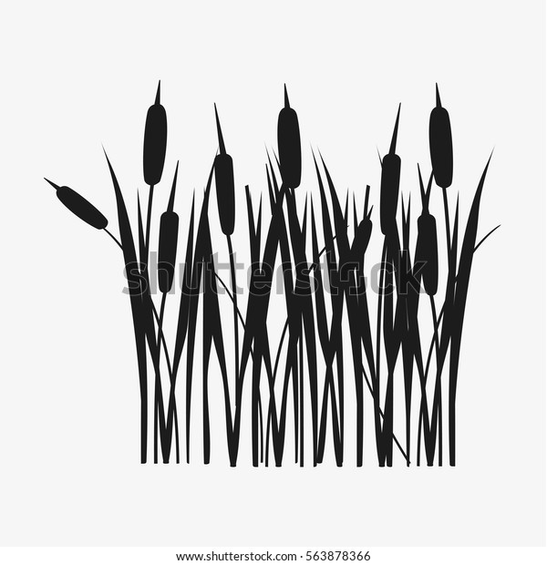 葦草の黒いシルエット 白い背景に ベクターイラスト のベクター画像素材 ロイヤリティフリー