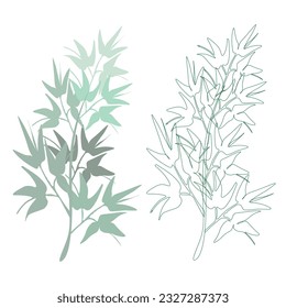 Reed grass is green, a marsh plant.
Japanese traditional ink painting
 Oriental style sumie, ushun, gohua,
SSTKabstract,
vector illustration.