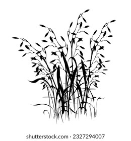 Reed grass is green, a marsh plant.
Japanese traditional ink painting
 Oriental style sumi e, u shun, go hua,
SSTK abstract,
vector illustration.