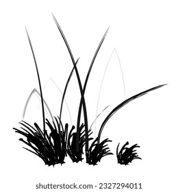 Reed grass is green, a marsh plant.
Japanese traditional ink painting
 Oriental style sumi e, u shun, go hua,
SSTK abstract,
vector illustration.