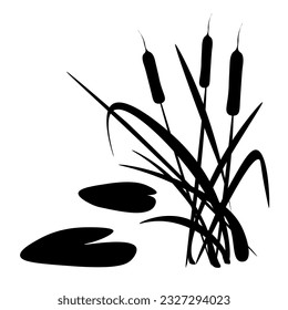 Reed grass is green, a marsh plant.
Japanese traditional ink painting
 Oriental style sumi e, u shun, go hua,
SSTK abstract,
vector illustration.