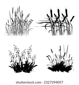 Reed grass is green, a marsh plant.
Japanese traditional ink painting
 Oriental style sumi e, u shun, go hua,
SSTK abstract,
vector illustration.