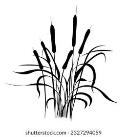 Reed grass is green, a marsh plant.
Japanese traditional ink painting
 Oriental style sumi e, u shun, go hua,
SSTK abstract,
vector illustration.