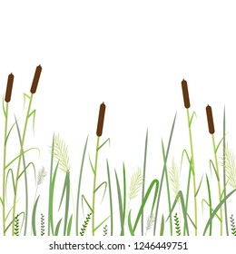 Reed and green grass background   ,vector illustration