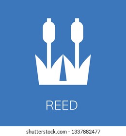  Reed icon. Editable  Reed icon for web or mobile.