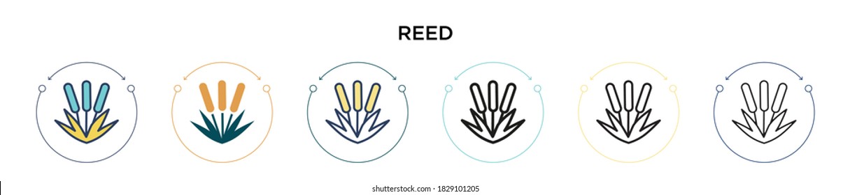 Reed icon in filled, thin line, outline and stroke style. Vector illustration of two colored and black reed vector icons designs can be used for mobile, ui, web