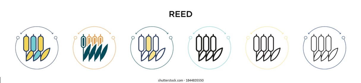 Reed icon in filled, thin line, outline and stroke style. Vector illustration of two colored and black reed vector icons designs can be used for mobile, ui, web