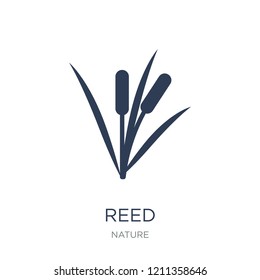 Reed icon. Trendy flat vector Reed icon on white background from nature collection, vector illustration can be use for web and mobile, eps10