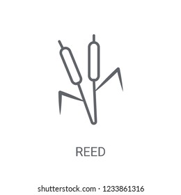 Reed icon. Trendy Reed logo concept on white background from Nature collection. Suitable for use on web apps, mobile apps and print media.