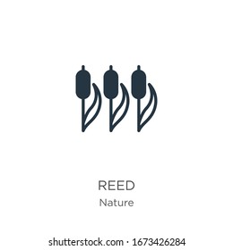 Reed icon vector. Trendy flat reed icon from nature collection isolated on white background. Vector illustration can be used for web and mobile graphic design, logo, eps10