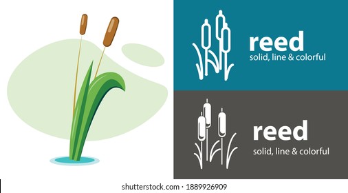 reed isolated vector flat icon. plant line solid design element