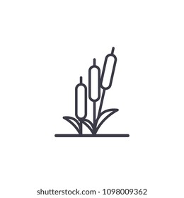 Reed line icon concept. Reed flat vector sign, symbol, illustration.