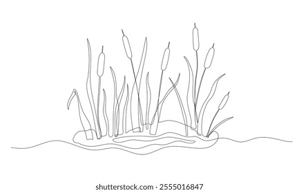 Reed one continuous line illustration. Hand drawn doodle drawing of pond on white background