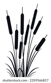 Reed, ornament for stencil. Black outline on a transparent background with isolated elements. Vector drawing.