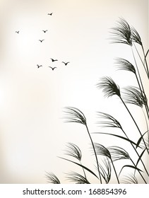 reed painting 