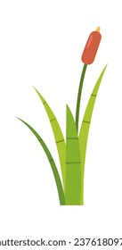 Reed Plant With Leaves Vector Illustration