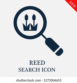 Reed search icon. Editable Reed search icon for web or mobile.