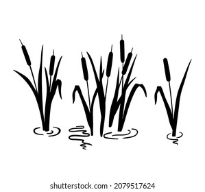 Reed silhouette set. Vector illustration isolated on white background. Plants on swamp and wetland.