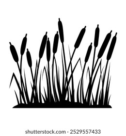 Reed silhouettes on white background. Vector illustration