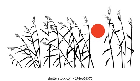 Reed and sunset in a minimalist style. Horizontal vector drawing.