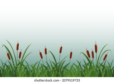 Reed in tarawa by the lake against background of fog.
