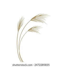 Reed traditional retro botanical illustration