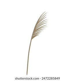 Reed traditional retro botanical illustration