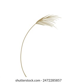 Reed traditional retro botanical illustration