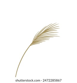 Reed traditional retro botanical illustration