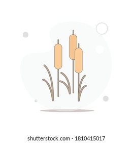 reed vector flat illustration on white