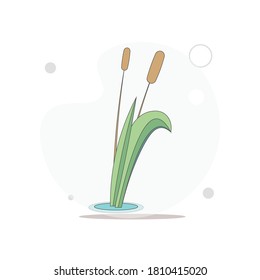 reed vector flat illustration on white. river reed