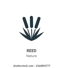 Reed vector icon on white background. Flat vector reed icon symbol sign from modern nature collection for mobile concept and web apps design.