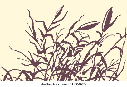 Reed vector illustration. Gravure drawing.