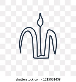 Reed vector outline icon isolated on transparent background, high quality linear Reed transparency concept can be used web and mobile