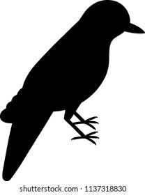 Reed warbler bird silhouette vector illustration