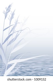 Reed in Water. Vector Background